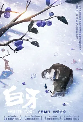 国产女主播一二三区丝袜美腿